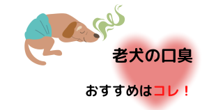 老犬の口臭