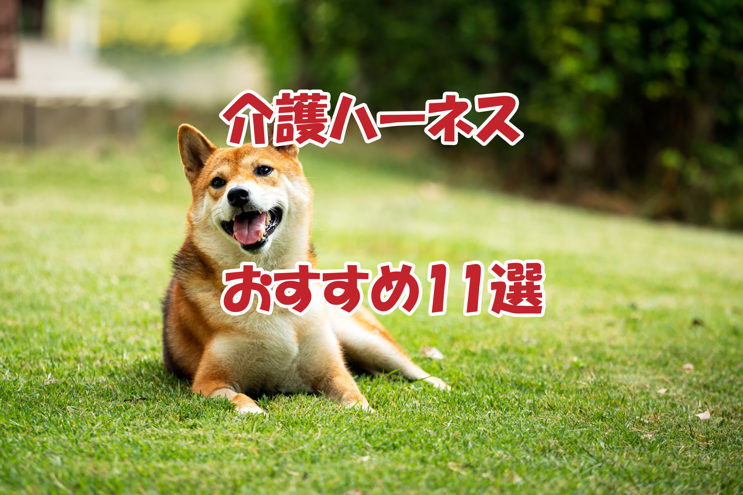 介護ハーネスおすすめ