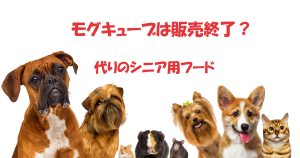 モグキューブの代わりのシニア用フード
