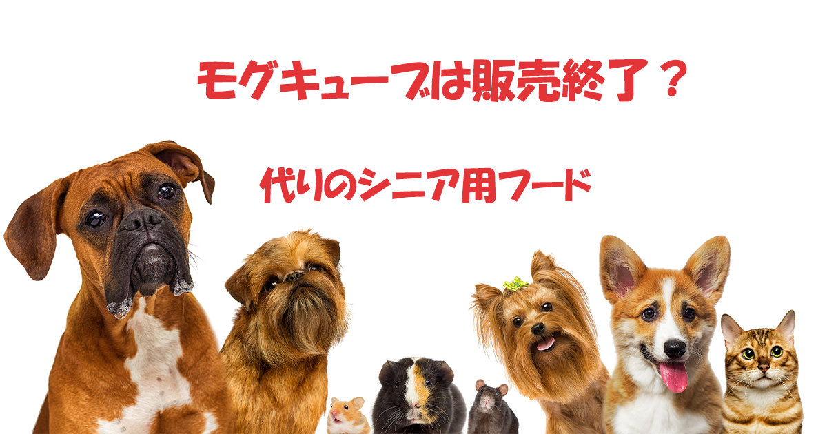 モグキューブの代わりのシニア用フード