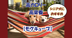 高カロリー高栄養モグキューブ　シニア犬おすすめ