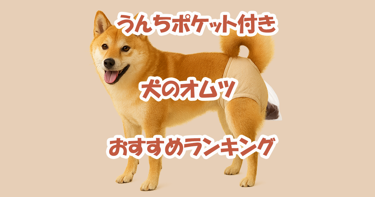 うんちポケット付き　犬のオムツ　おすすめ　ランキング