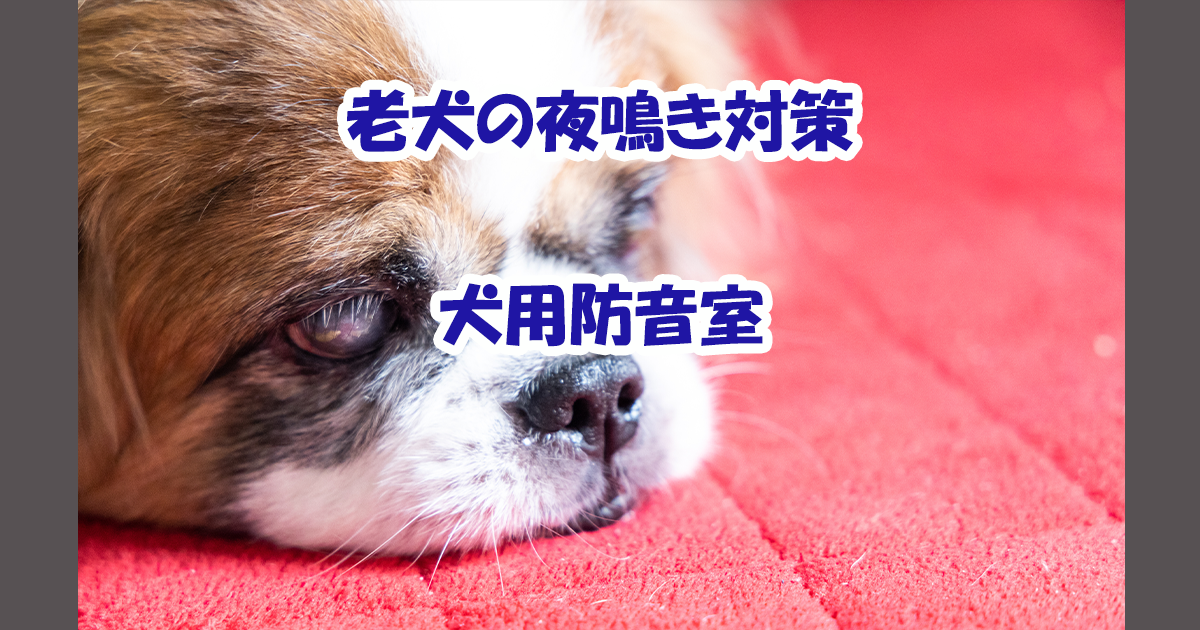 老犬夜鳴き対策　犬用防音室