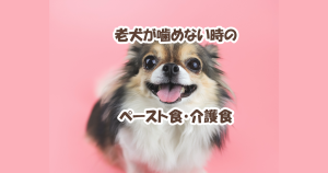 老犬が噛めない時 ペースト食　介護食