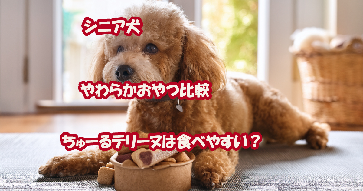 シニア犬やわらかおやつ比較　ちゅーるテリーヌ